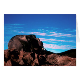 Från jorden/det vikta kortet hälsningskort