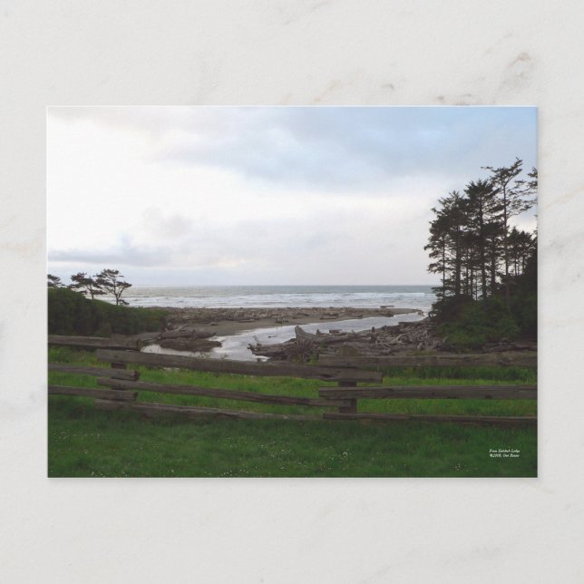 Från Kalaloch Lodge-vykort Vykort (Framsida)