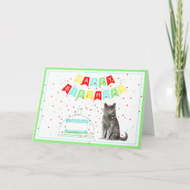 Från Kat Birthday-banderollen och kummelkortet Kort