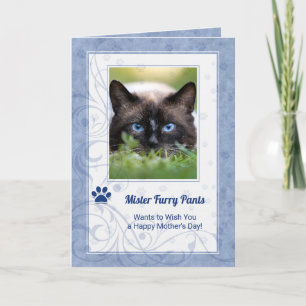 från Katt Mors dag i Periwinkle Blue Photo Kort