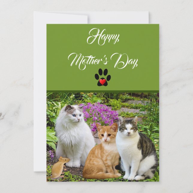 Från Katten Glad Mors Dag Platt Kort (Framsida)