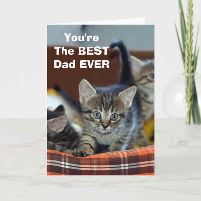 Från kattens BÄSTA pappafödelsedagskort Kort (Framsida)