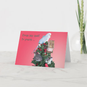 Från mitt bygga bo helgkort