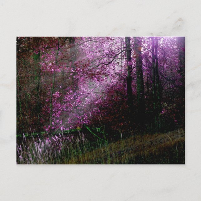 Från Mörkrets vykort (Framsida)