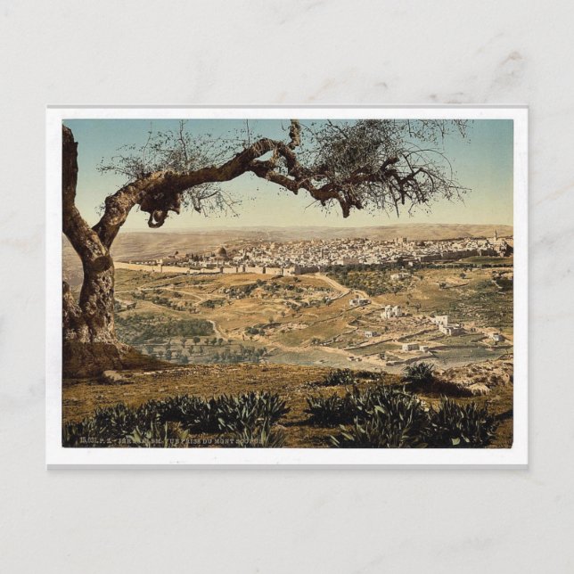 Från Mount Scopus, Jerusalem, Heliga Land Classic  Vykort (Framsida)