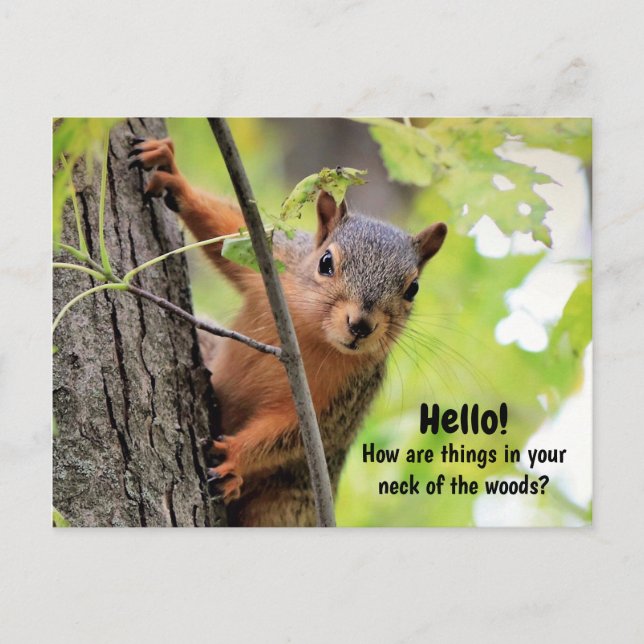 Från Nacke i Skogen till vykort (Framsida)