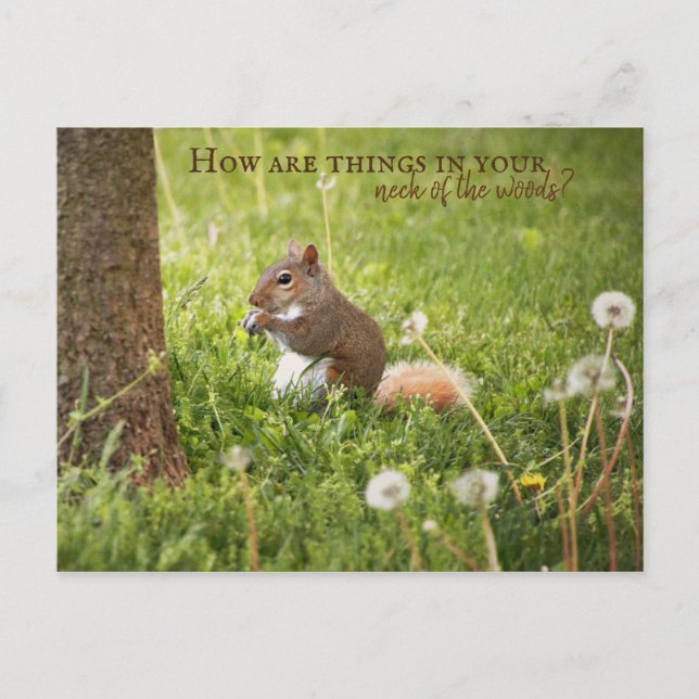 Från Nacke i Skogen till vykort (Framsida)