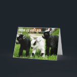 FRÅN OSS KIDS TILL KID I DIG BIRTHDAY KORT<br><div class="desc">Ha ROLIGT och skicka det här söta och verkligen-kortet till någon i ditt liv idag! Vilket "underbart gruppkort" kommer det att ge,  samt:)</div>