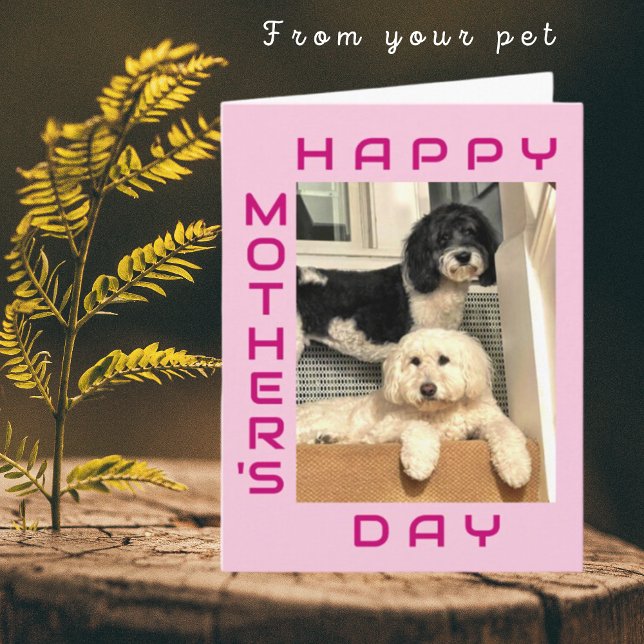Från Pet - Bästa Mamma någonsin Mors dag Kort (Skapare uppladdad)