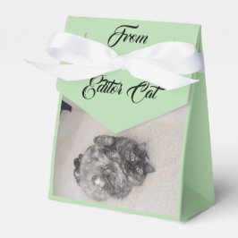 Från redigerarens katt efter RoseWrites favoritrut Presentaskar