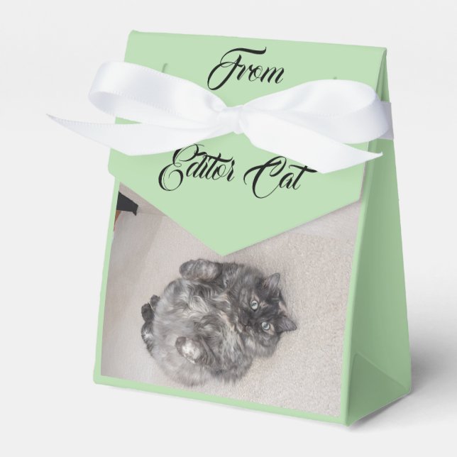 Från redigerarens katt efter RoseWrites favoritrut Presentaskar (Framsidan Sidan)