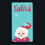 Från Secret Santa | Jultomten Sticker Gift Märkre Fraktsedel<br><div class="desc">Från Secret Santa - Roligt, vita och färgstarka "Secret Santa"-märkre. Utformningen visar vår Jultomten-illustration med "Secret Santa" som visas i en roligt och fet typografisk typografi för att skapa en roligt. Har vår illustration av roligt Jultomten och ställe för skriva av mottagarens namn. Ljusa färger av , nyp, gröntar och...</div>