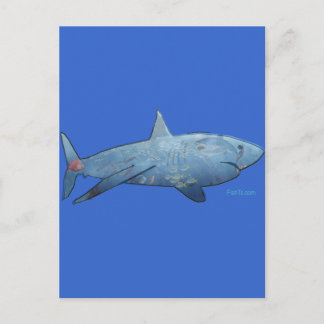 Från Sharks Collection Vykort