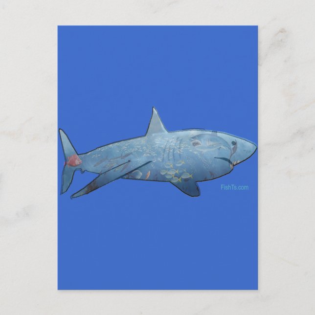 Från Sharks Collection Vykort (Framsida)