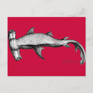Från Sharks Collection Vykort