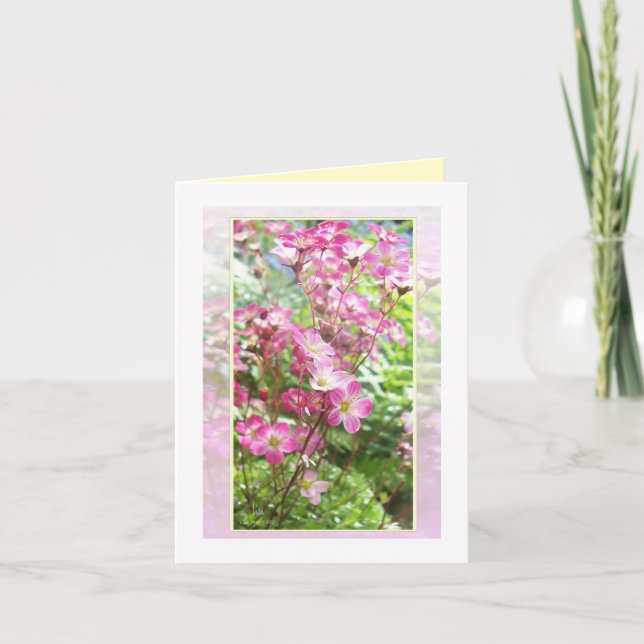 Från sten-trädgården 1 helgkort (Framsida)