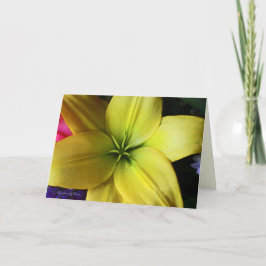 Från tid till evighet kort