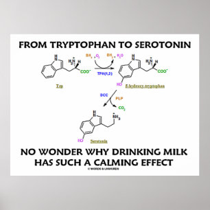 Från Tryptophan till serotonin (kemi Humor) Poster