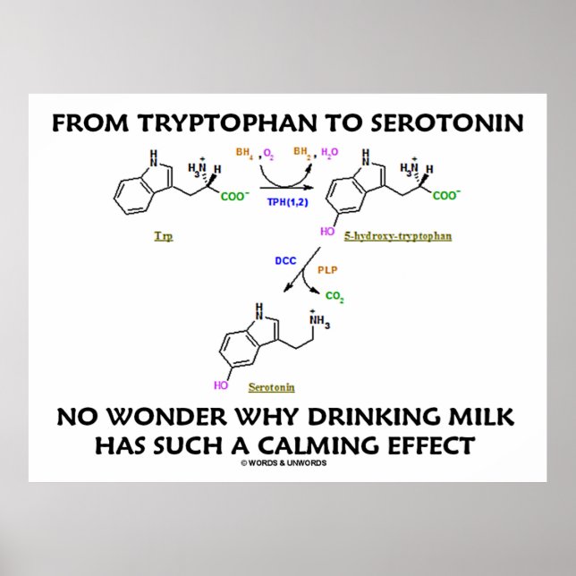 Från Tryptophan till serotonin (kemi Humor) Poster (Framsidan)