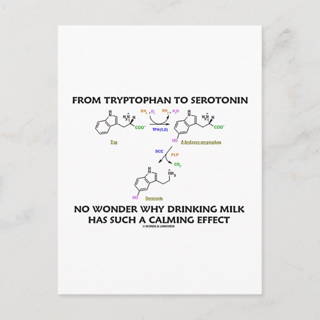 Från Tryptophan till serotonin (kemi Humor) Vykort (Framsida)