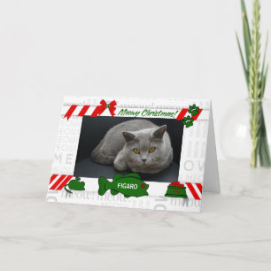 från Vågrät Cat Meowy jul Photo Helgkort