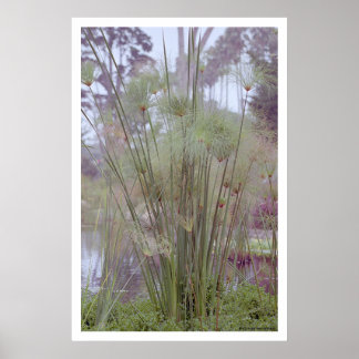 från Vatten, Santa Barbara (poster) Poster