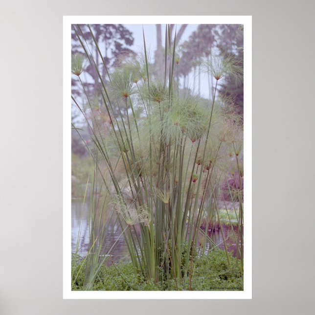 från Vatten, Santa Barbara (poster) Poster (Framsidan)