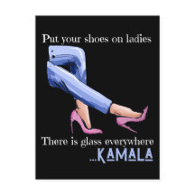 Från Vicens talman till president Kamal Harris 202