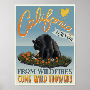 Från Wildfire Kom Vild Flowers - Kalifornien Kärle Poster