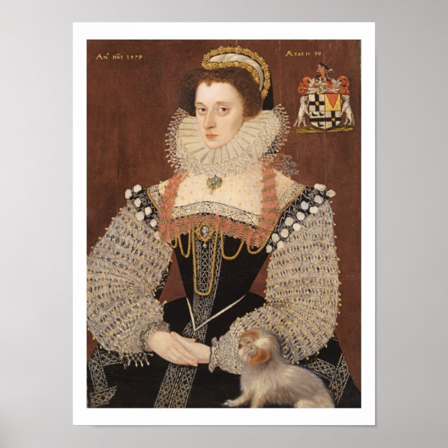 Frances Clinton, Dam Chandos (1552-1623) 1579 (oi) Poster (Framsidan)