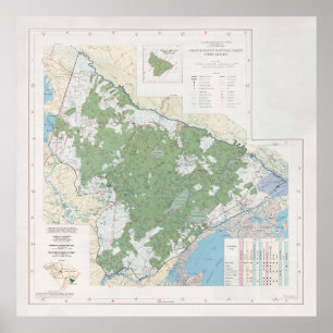Francis Marion National Forest Karta (1981) Poster