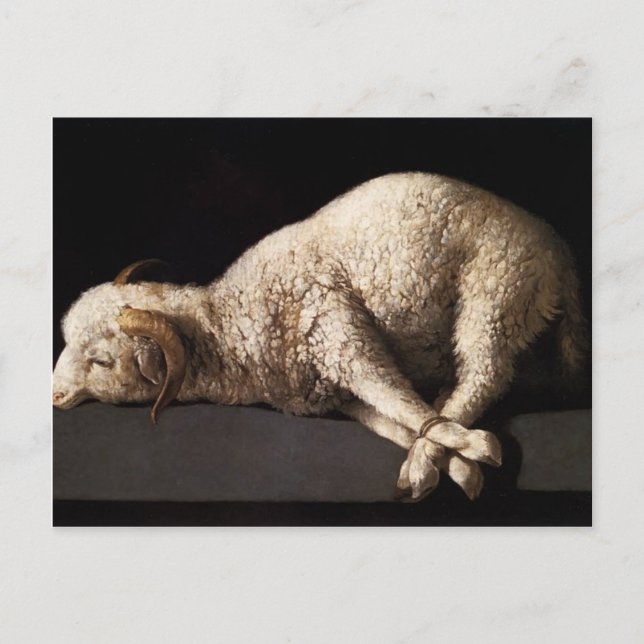 Francisco de Zurbaran-Agnus Dei Vykort (Framsida)