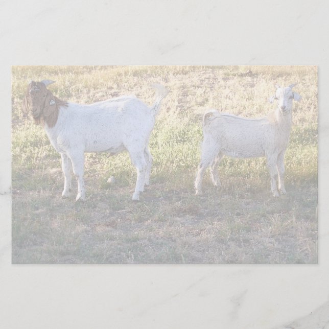 Franco och vän brevpapper (Framsida)