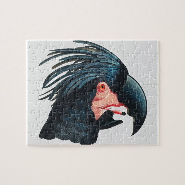 Francois Levaillants Underbara Black Cockatoo. Pussel (Horisontell)