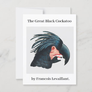 Francois Levaillants Underbara Black Cockatoo. Vykort