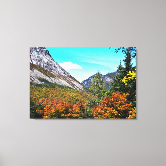 Franconia Notch Canvas (Framsida)