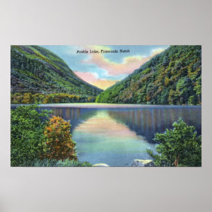Franconia Notch View of Profile Sjö Poster