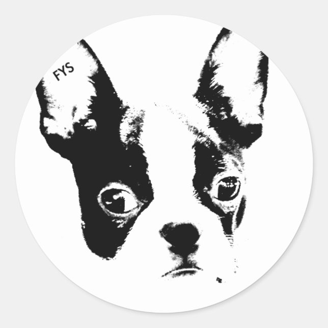 FrånDittSky-modelldekal Runt Klistermärke (Framsida)