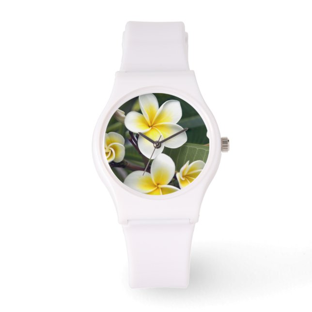 Frangipanblomma Cooköarna Armbandsur (Framsida)