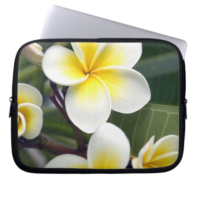 Frangipanblomma Cooköarna Laptop Fodral (Framsidan)
