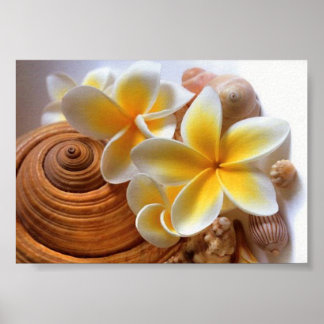 Frangipanblomma Poster