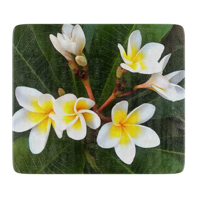 Frangipani Blommar Cluster Artistic Stil (Framsidan)