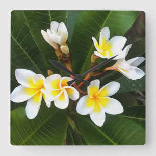 Frangipani Blommar Cluster Artistic Stil Fyrkantig Klocka