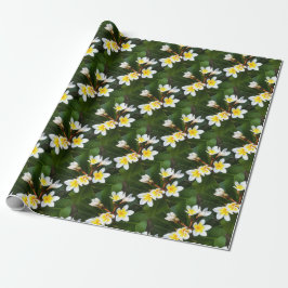 Frangipani Blommar Cluster Artistic Stil Presentpapper