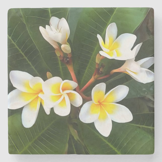 Frangipani Blommar Cluster Artistic Stil Stenunderlägg (Framsidan)