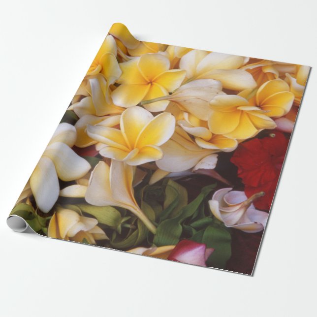 Frangipani Blommigt Wrapping Papper Presentpapper (Utrullad)