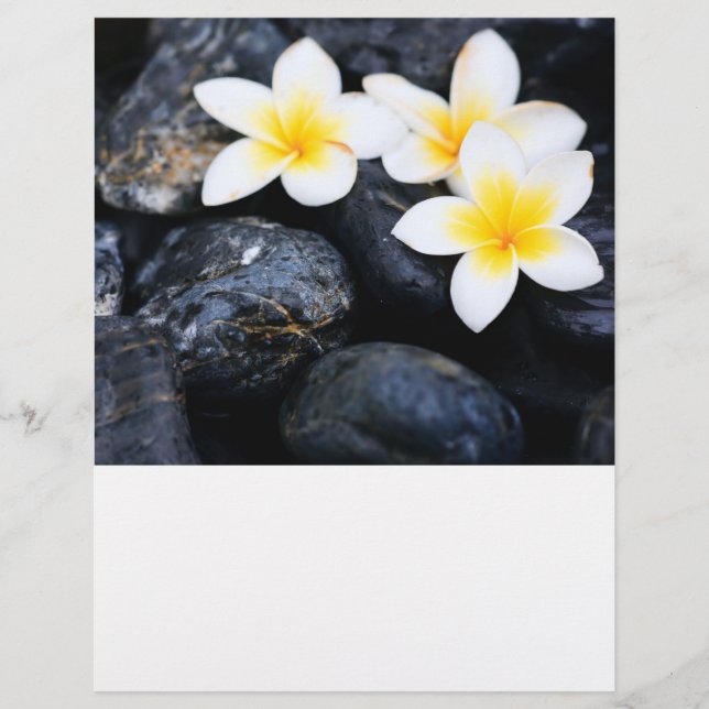 Frangipani-blommor Reklamblad (Framsidan)