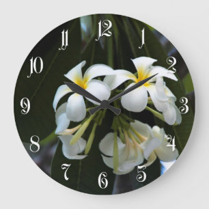 Frangipani-blommor Stor Klocka