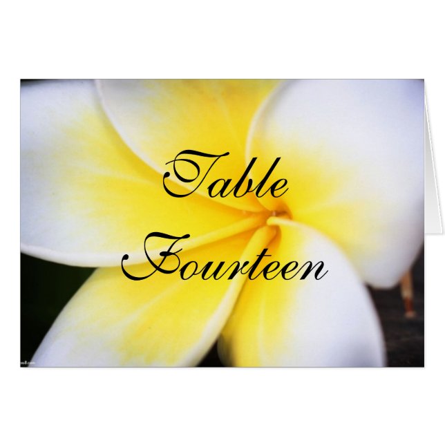 Frangipani-Bordsnummer-kort för Bröllop OBS Kort (Framsidan Horizontal)