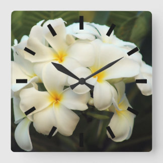 Frangipani bouquet-blommor fyrkantig klocka